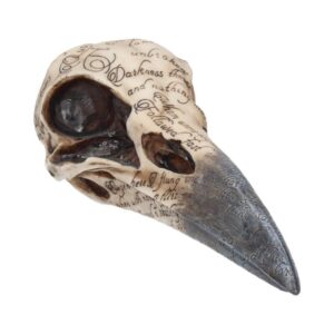 Edgar's Raven Koponya