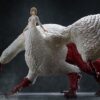 Delicious in Dungeon Pop Up Parade XL PVC Szobor Falin (Chimera) 26 cm Delicious in Dungeon Pop Up Parade XL PVC Szobor Falin (Chimera) 26 cm
