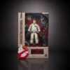 Ghostbusters Plasma Series Akció Figura 2020 Wave 1 Ray Stantz 15 cm