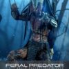 Prey Akció Figura 1/6 Feral Predator 37 cm