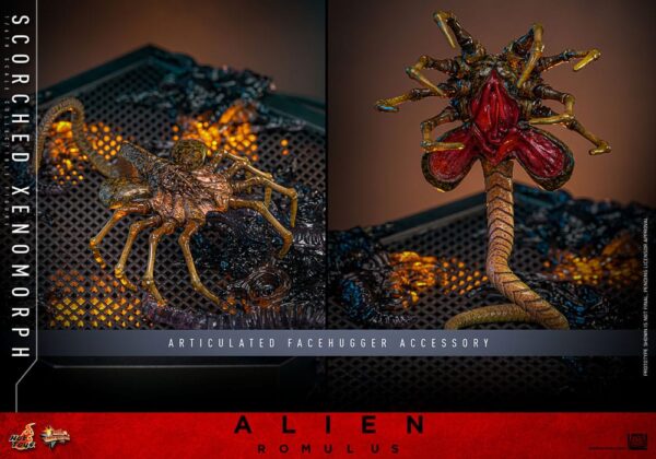 Alien: Romulus Movie Masterpiece Akció Figura 1/6 Scorched Xenomorph 44 cm
