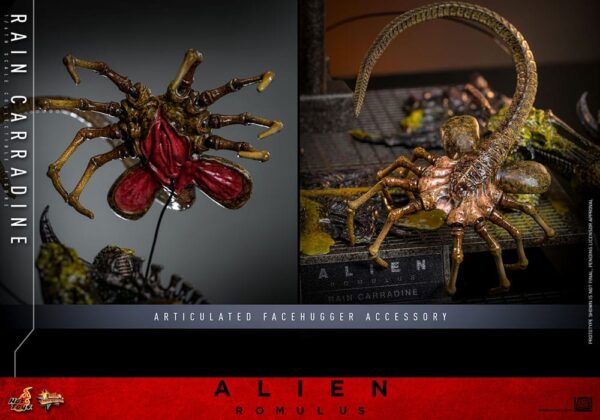 Alien: Romulus Movie Masterpiece Akció Figura 1/6 Rain Carradine 26 cm Alien: Romulus Movie Masterpiece Akció Figura 1/6 Rain Carradine 26 cm