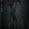 Alien Movie Masterpiece Akció Figura 1/6 Big Chap 36 cm Alien Movie Masterpiece Akció Figura 1/6 Big Chap 36 cm