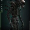 Alien Movie Masterpiece Akció Figura 1/6 Big Chap 36 cm Alien Movie Masterpiece Akció Figura 1/6 Big Chap 36 cm