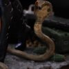 G.I. Joe Art Scale Szobor 1/10 Baroness 22 cm