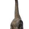Jurassic World Icons Szobor Brachiosaurus 19 cm Jurassic World Icons Szobor Brachiosaurus 19 cm