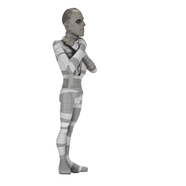 Universal Monsters Toony Terrors Akció Figuras 15 cm Series 10 Silver Screen Edition Assortment (12) Universal Monsters Toony Terrors Akció Figuras 15 cm Series 10 Silver Screen Edition Assortment (12)