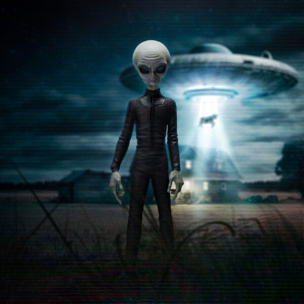 I want to Believe Art Scale Szobor 1/10 Alien Grey 21 cm I want to Believe Art Scale Szobor 1/10 Alien Grey 21 cm