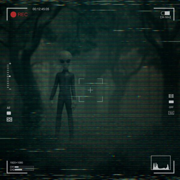 I want to Believe Art Scale Szobor 1/10 Alien Grey 21 cm I want to Believe Art Scale Szobor 1/10 Alien Grey 21 cm