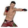 UFC Posed PVC Szobor Brandon Moreno 16 cm