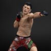 UFC Posed PVC Szobor Brandon Moreno 16 cm