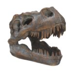 Tyrannosaurus Rex Skull Freestanding