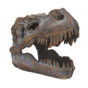 Tyrannosaurus Rex Skull Freestanding