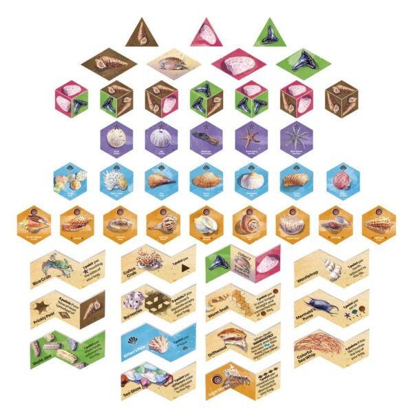 Sanibel Board Game *English Version*