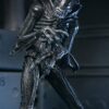 Aliens Ultimate Akció Figura Warrior (1986) Xenomorph Black (40th Anniversary) 23 cm