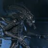 Aliens Ultimate Akció Figura Warrior (1986) Xenomorph Black (40th Anniversary) 23 cm