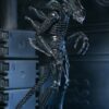 Aliens Ultimate Akció Figura Warrior (1986) Xenomorph Black (40th Anniversary) 23 cm