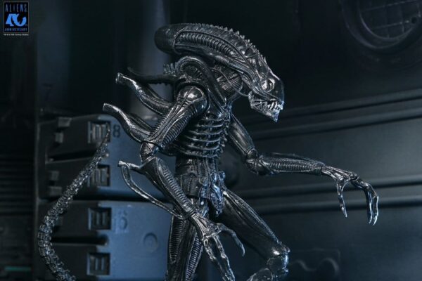 Aliens Ultimate Akció Figura Warrior (1986) Xenomorph Black (40th Anniversary) 23 cm