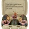Aliens 6-Pack Accessory Pack Carton of Alien Eggs (40th Anniversary)