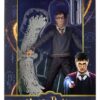 Harry Potter Legacy Collection Akció Figura Harry Potter 18 cm