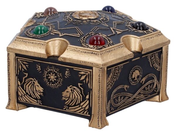 Magic the Gathering Storage Box Mana